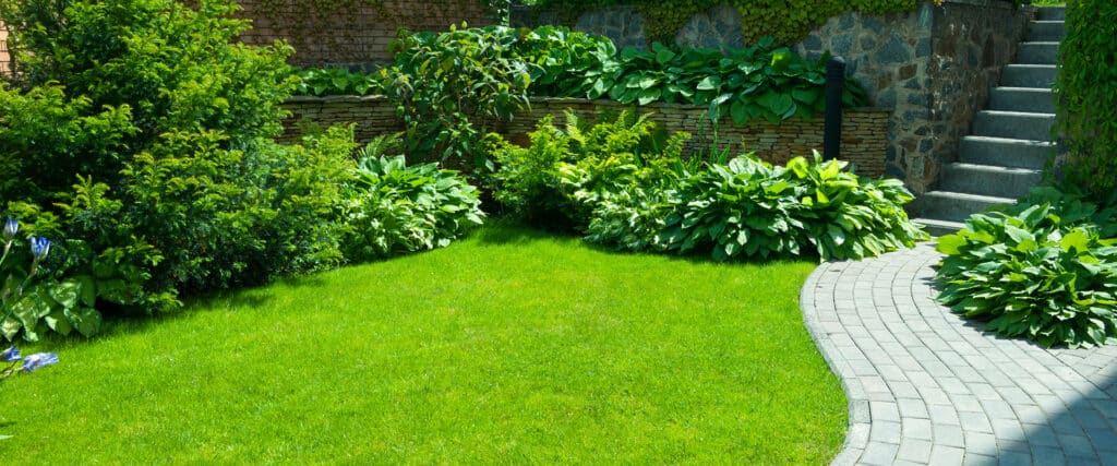 Jardin luxuriant avec pelouse verte, allée en pavés, plantes variées, mur en pierre et escalier.